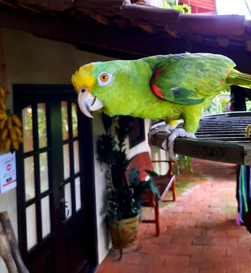 Cabanas San Miguel Alto Boquete Экстерьер фото