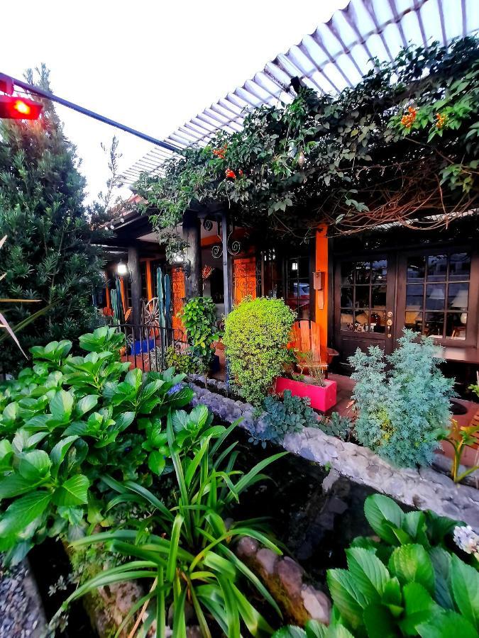 Cabanas San Miguel Alto Boquete Экстерьер фото