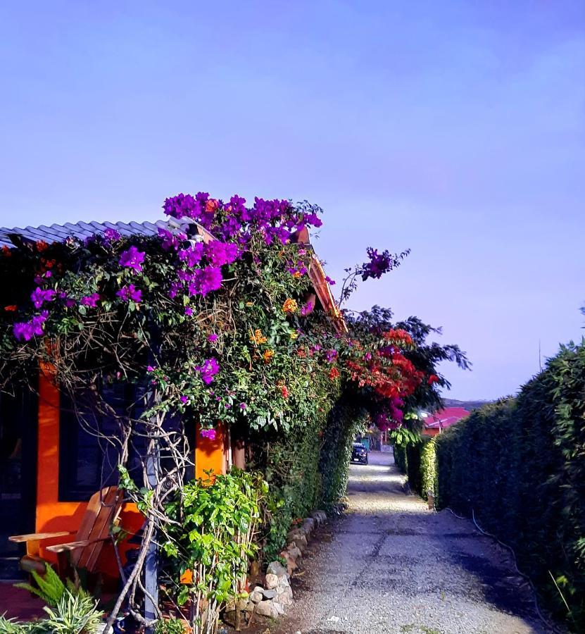 Cabanas San Miguel Alto Boquete Экстерьер фото